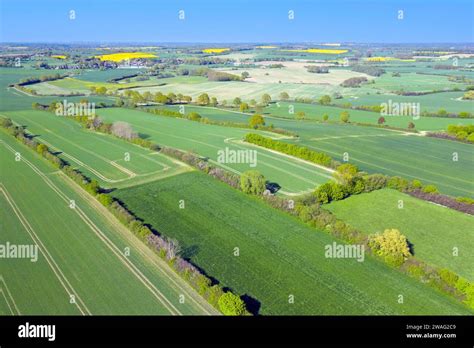 paysage de bocage français avec haies diversifiées