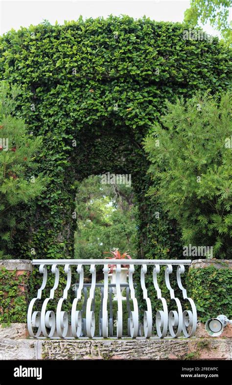Vue d'une caravane recouverte de lierre dans une clairière