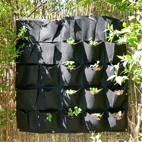 Poches de culture murales avec différentes plantes