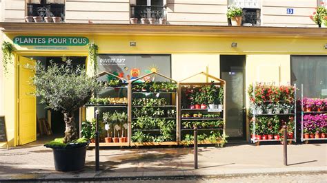 Vue extérieure d'une jardinerie avec des plantes