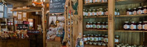 Assortiment de produits dérivés de la pomme : jus, compote, tarte
