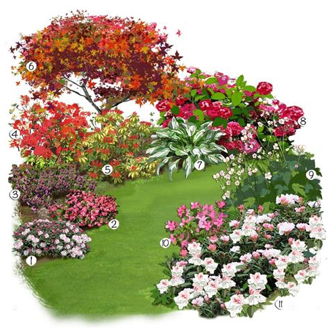 Plan d'un parterre de terre de bruyère