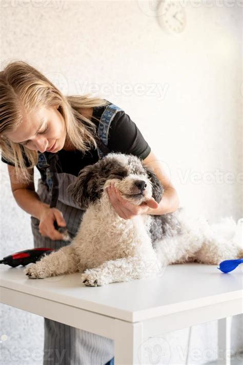 Femme toilettant son chien à la maison
