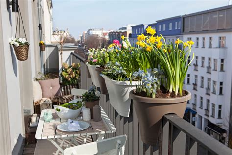 Un balcon fleuri avec des pots de plantes arrosés par un système goutte à goutte