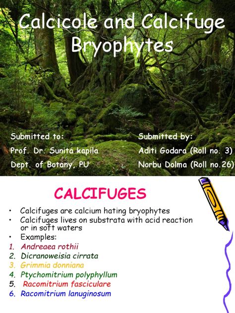 Plantes calcifuges et calcicoles