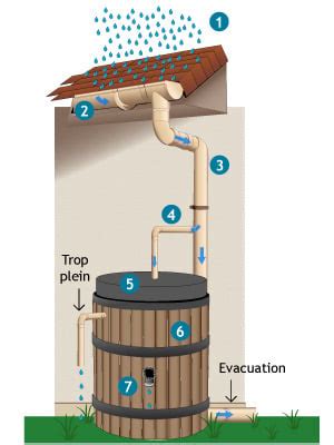 Schéma d'un système simple de récupération d'eau de pluie avec un récupérateur