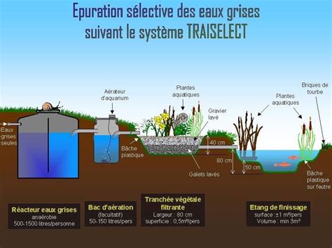 Infographie montrant les étapes de traitement des eaux grises