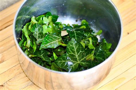 Mélange d'herbes et de feuilles de lierre séchées