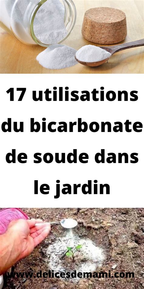 Bicarbonate de soude dans un jardin