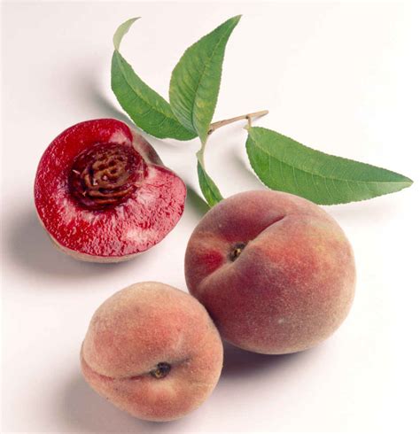 Pêches de vigne rouges et juteuses