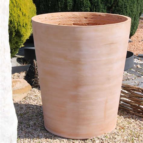 Pot de rosier en terre cuite