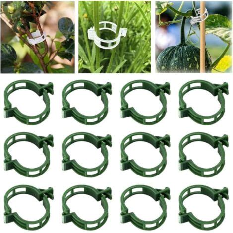 Accessoires de fixation pour tuteurs