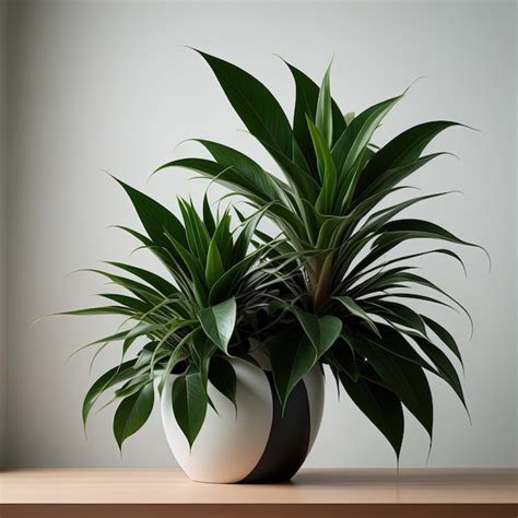 Plante en pot avec des feuilles vertes luxuriantes