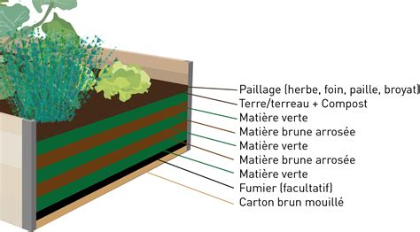 Infographie montrant les différentes couches d'un potager en lasagne