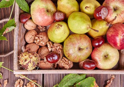 Assortiment de fruits d'automne : châtaignes, noix, pommes, poires