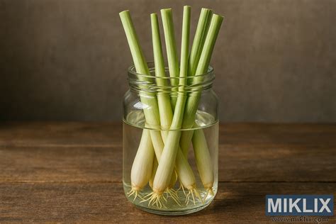 Tiges de citronnelle fraîches sur un plan de travail