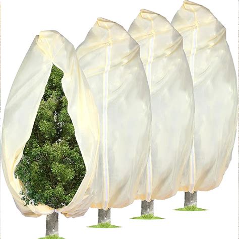 protection palmier gel