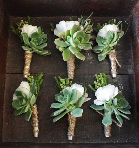 Boutonnière avec une succulente