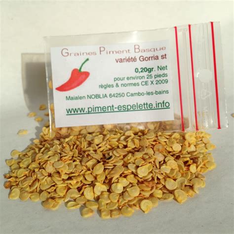 Graines de piment semées dans des petits pots
