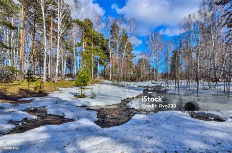 Paysage alpin au début du printemps avec des vestiges de neige