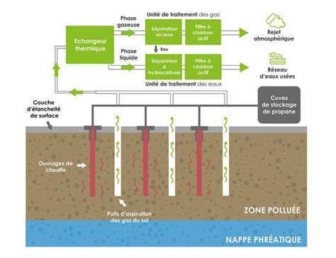 Schéma expliquant la dépollution par le lierre