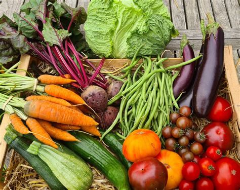 Image de légumes frais et colorés cultivés à la Ferme de Goas Per