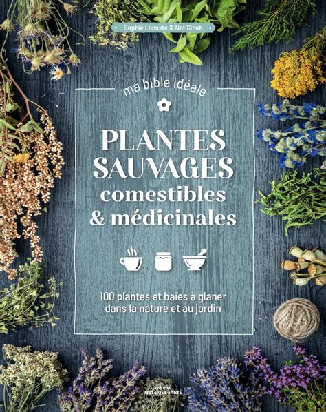 Illustration de diverses plantes sauvages comestibles et médicinales