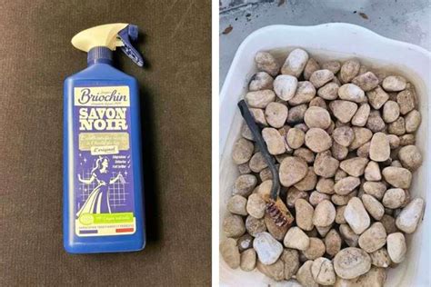 Bouteille de pulvérisateur avec une solution de savon noir