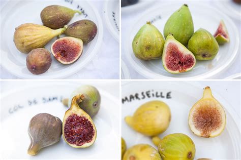 Différentes variétés de figues de couleurs et formes variées