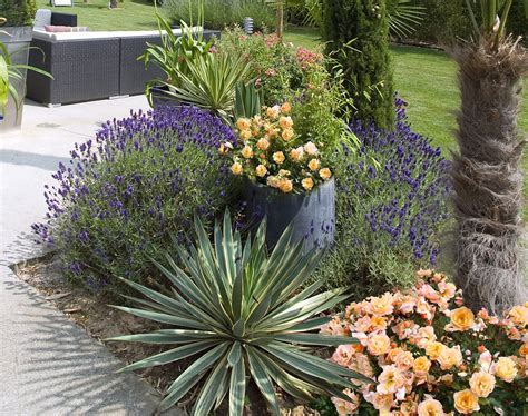 Lantana associé à de la lavande et des sauges