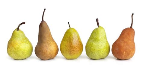 Assortiment de différentes variétés de poires