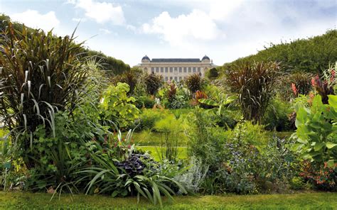 Vue aérienne du Jardin des Plantes, Paris