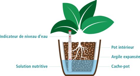Schéma illustrant un bon drainage du pot pour les plantes