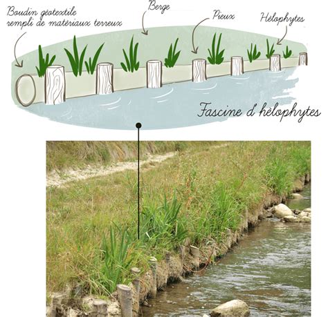 Renaturation de berges avec banquettes