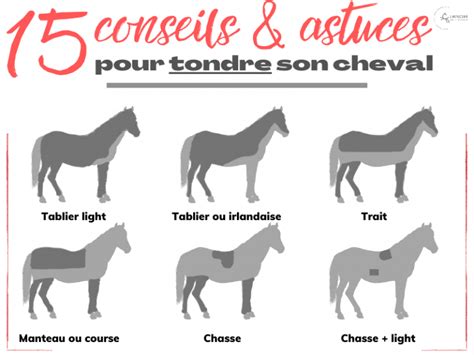 avantages de la tonte du cheval