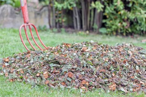 Photo de paillis de broyat de végétaux dans un jardin