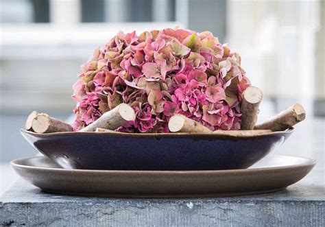 Composition florale avec des hortensias séchés