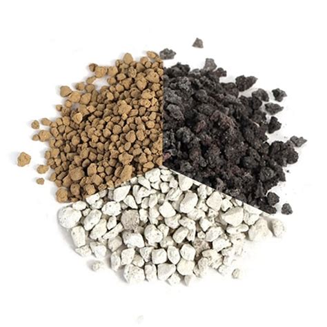 Composition d'un substrat idéal pour succulentes