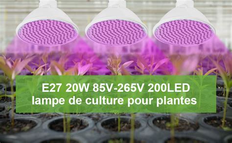 Une lampe de croissance horticole éclairant un jeune arbre fruitier nain en pot à l'intérieur