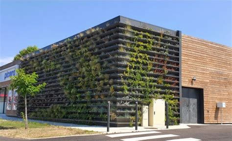 Exemple de mur végétalisé avec du lierre