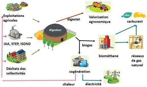 Schéma du processus de méthanisation, de l'intrant organique au biogaz et au digestat