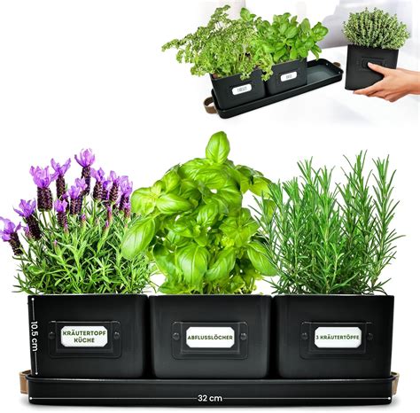 Jardinière murale avec diverses herbes aromatiques