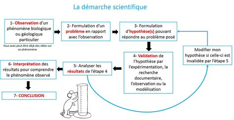 Schéma illustrant les étapes de la démarche scientifique
