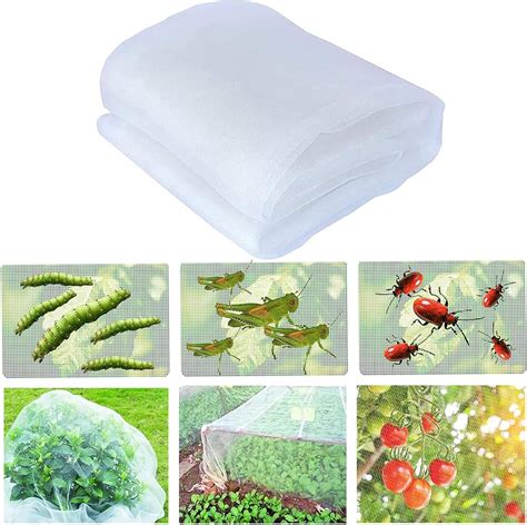 Filet anti-insectes protégeant des poireaux