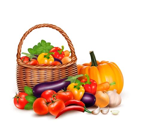 Illustration d'un panier de légumes frais et de saison