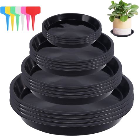 Soucoupe sous un pot de succulente avec de l'eau qui s'écoule