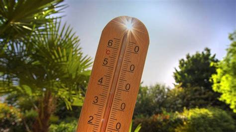 Thermomètre mesurant la température ambiante dans un jardin