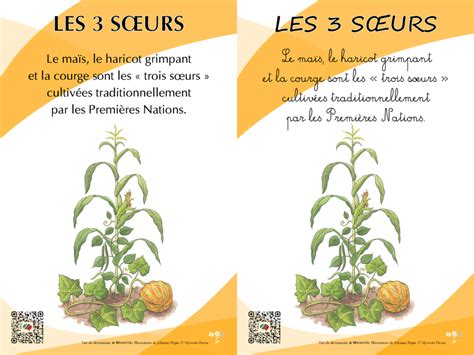 schéma des trois soeurs