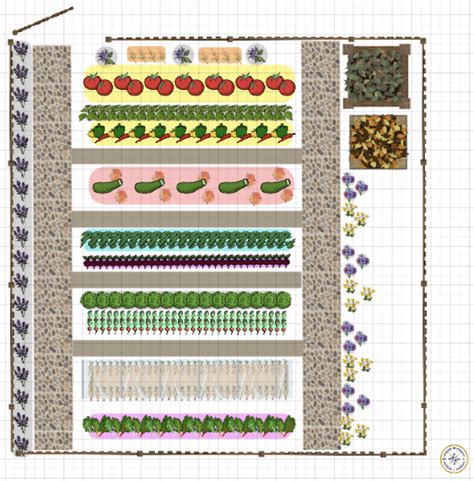 Schéma d'un jardin avec différentes zones de plantation de haricots nains et grimpants