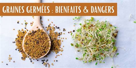 Illustration comparant des graines de haricots germées et non germées, avec un thermomètre indiquant une température optimale